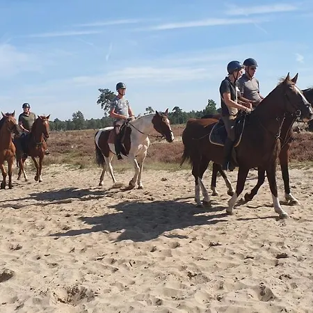 לינה וארוחת בוקר De Olm קאטשאופל