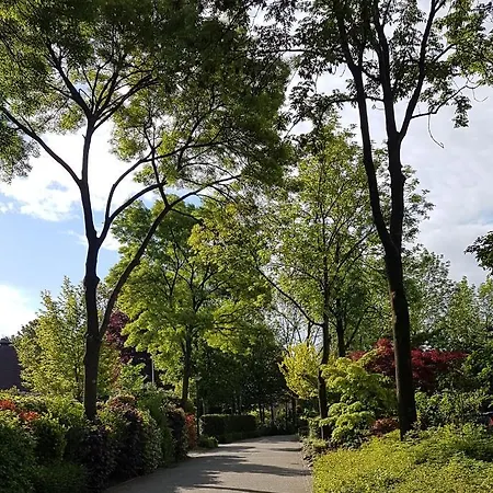 De Olm 4* קאטשאופל