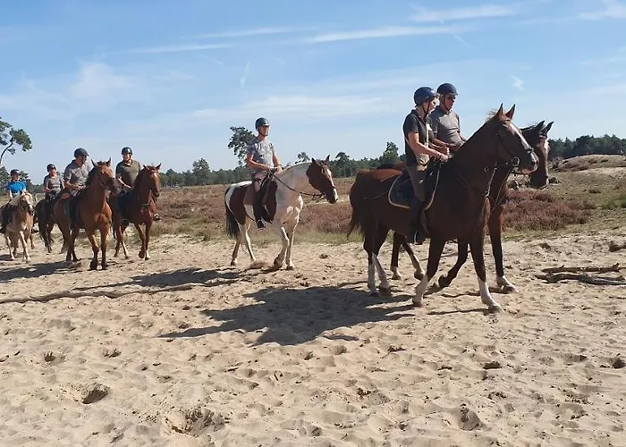 Bed and Breakfast De Olm Kaatsheuvel