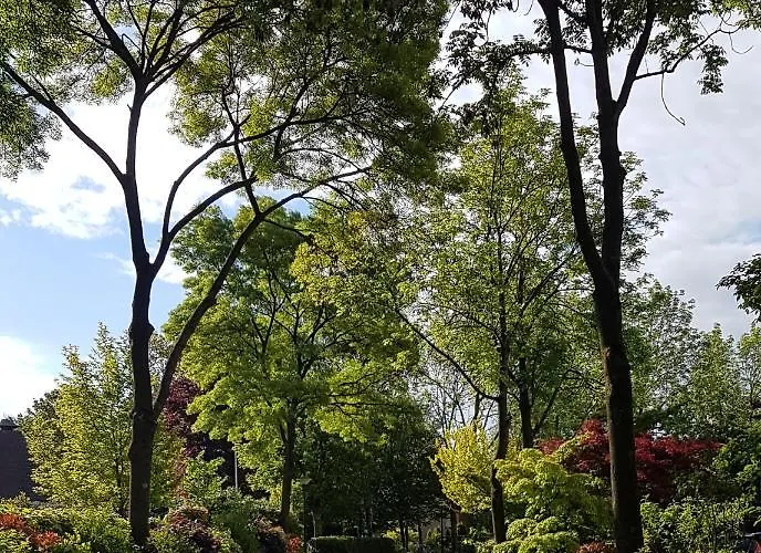 De Olm 4* كاتْسهوفيل