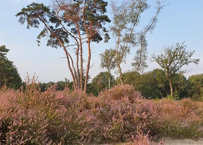 De Olm ベッド・アンド・ブレックファスト