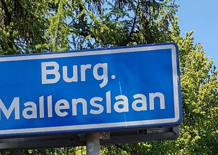 Oda ve Kahvaltı De Olm